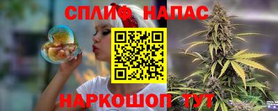 СК Гусев
