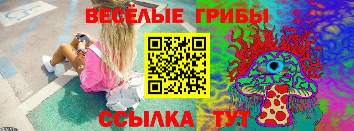 Королёв  Галлюциногенные грибы MAGIC MUSHROOMS  Псилоцибиновые грибы Psilocybe  Вход с VPN 