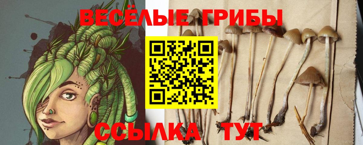 Галлюциногенные грибы мухоморы Королёв